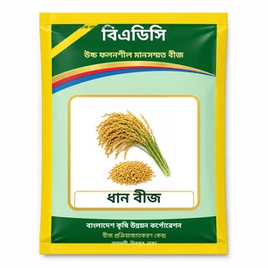 Rice Seed