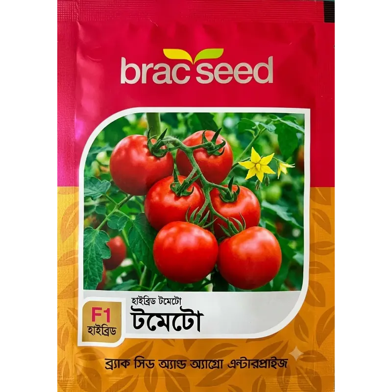 Tomato