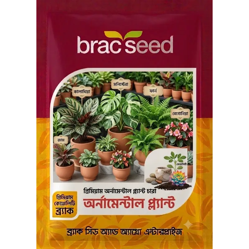 Ornamental Plant