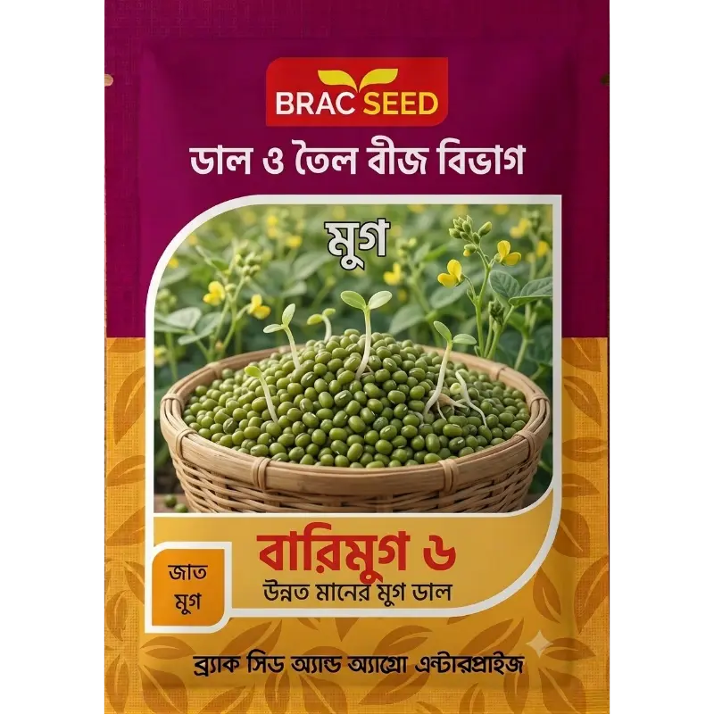 Mung Bean