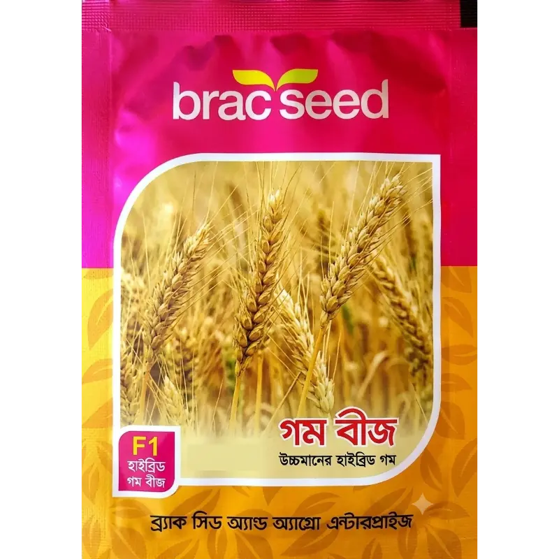Wheat Seed