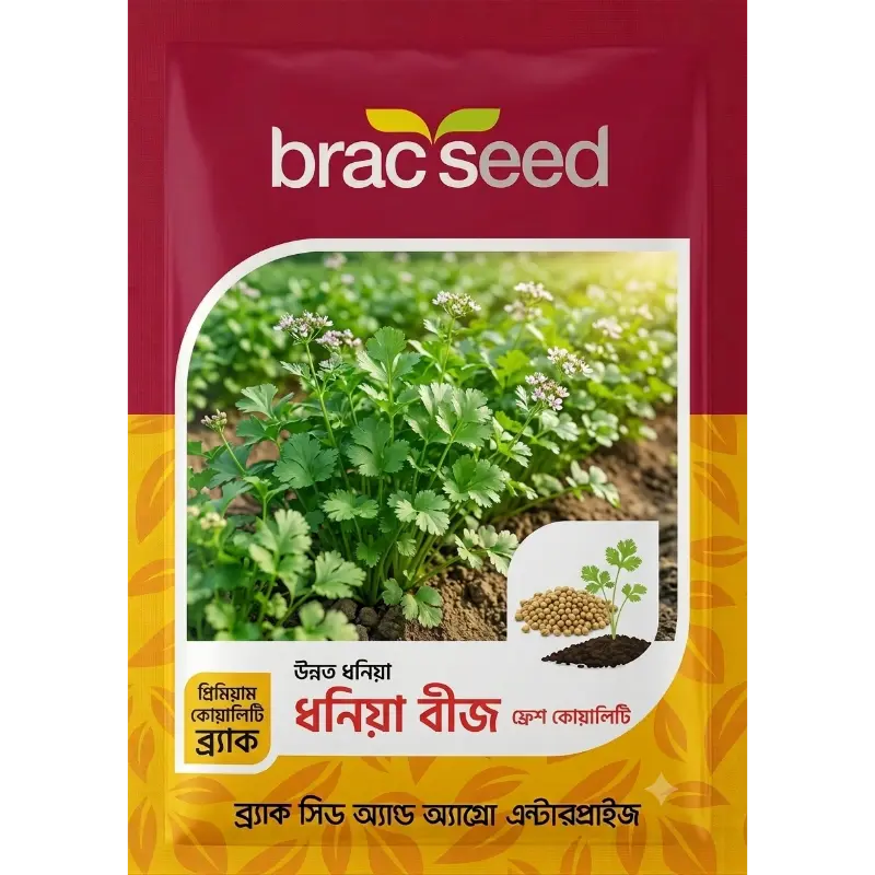 Coriander Seed