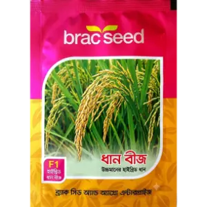 Rice Seed