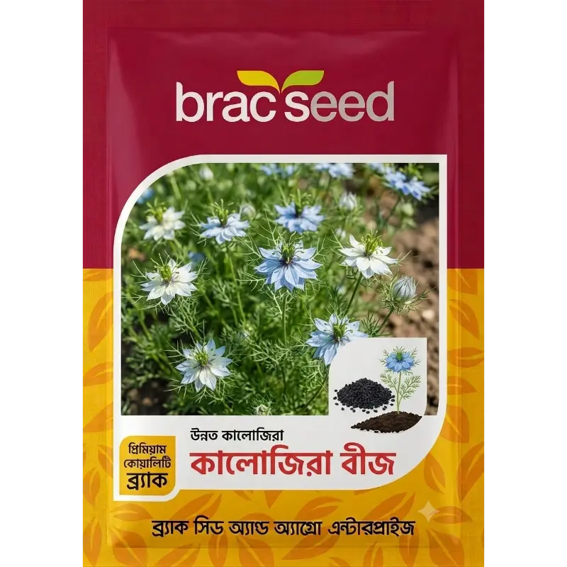 Black Cumin Seed