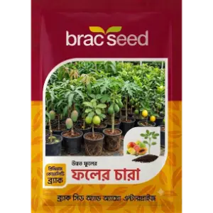 Fruit Seedlings