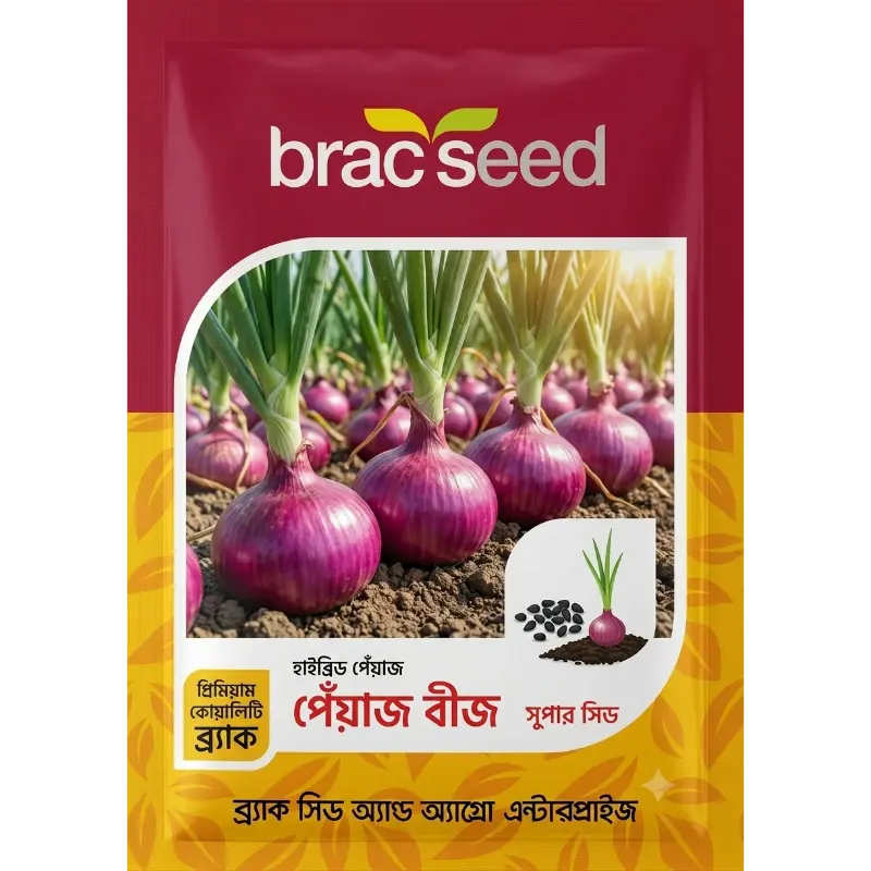 Onion Seed