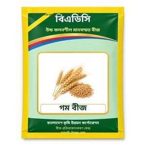 Wheat Seed