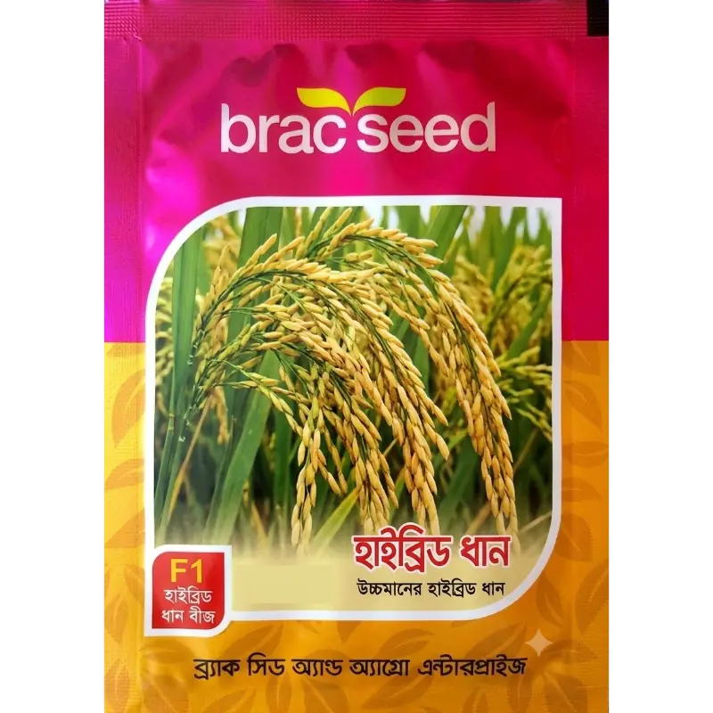 Hybrid Rice
