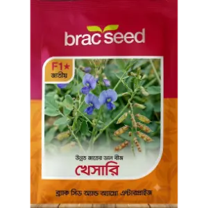 Khesari