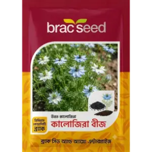 Black Cumin Seed